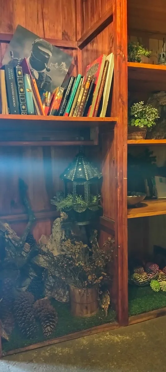 Librería con piñas y farolito mágico