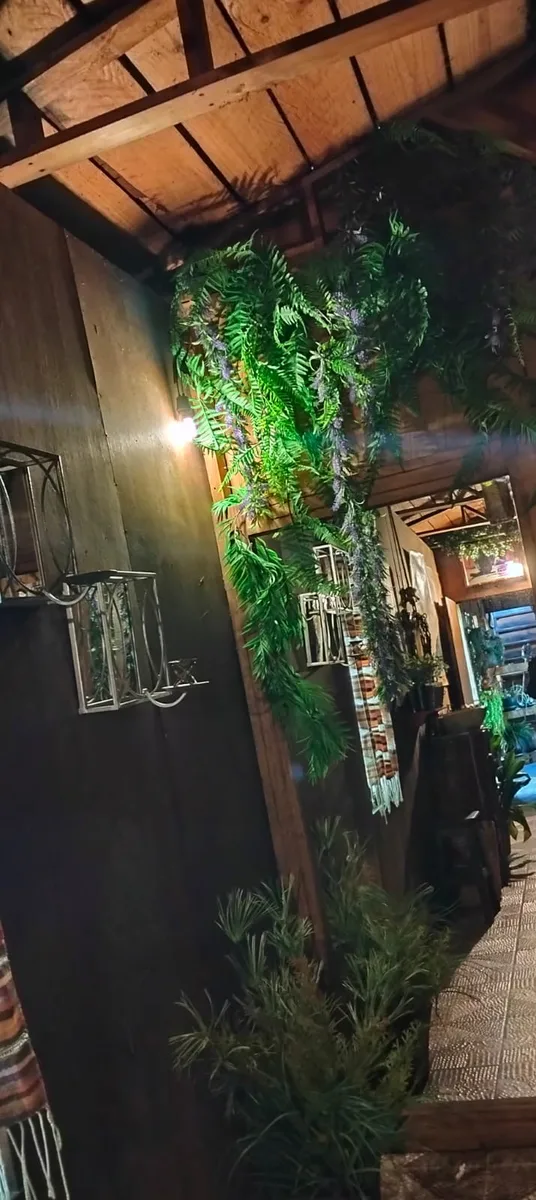 Entrada con helecho colgante y velas de pared