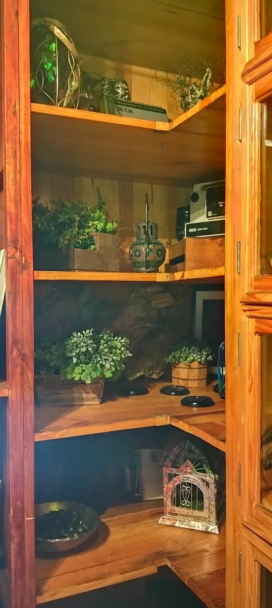 Gabinete de madera con plantas y artículos curiosos